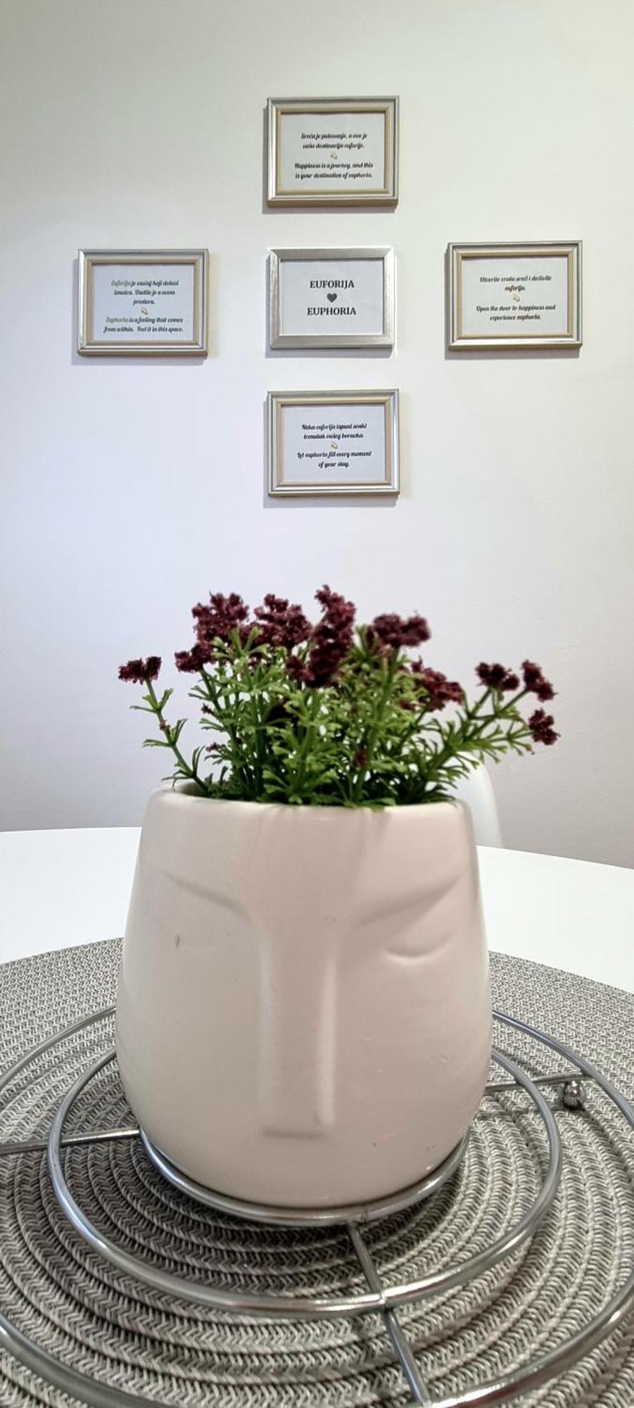Euforia Apartment Belgrado Buitenkant foto